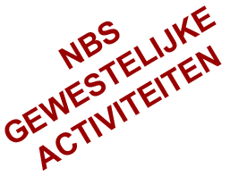 NBS Gewestelijke activiteiten
