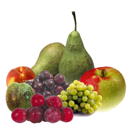 fruit